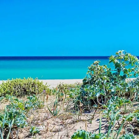 Prime File Al Mare Costa Rei